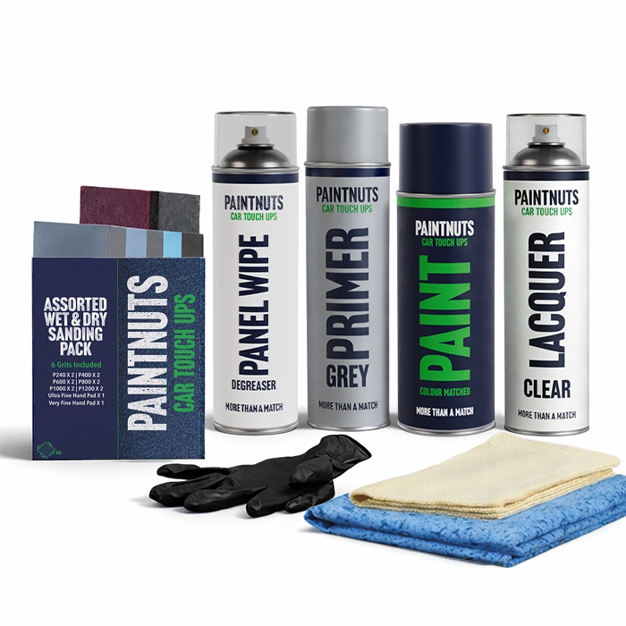 Touch Up Aerosol All You Need Kit for Classic Cars
